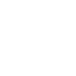 Boat icon