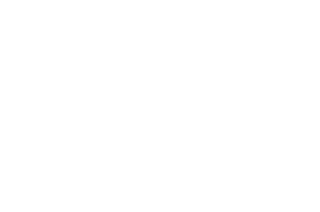 Boat icon