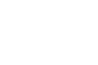 Car icon