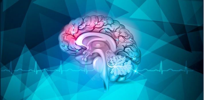 Maintaining brain health Image