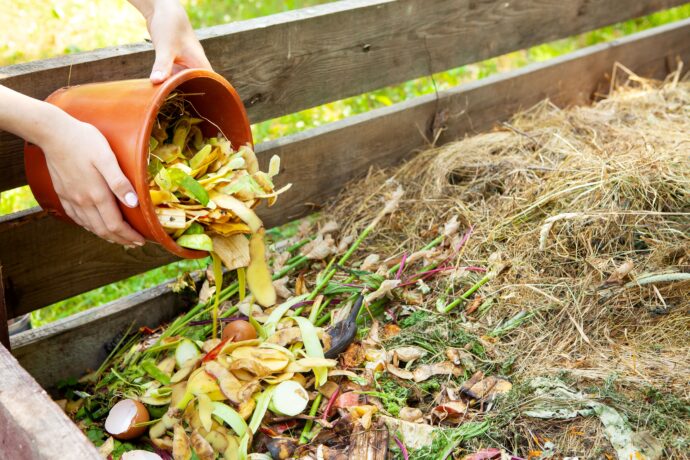 Backyard composting Image