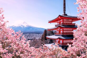 Japan’s Top Travel Experiences Image