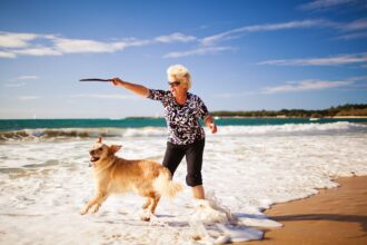 Tips for Happy Pets and Owners Image