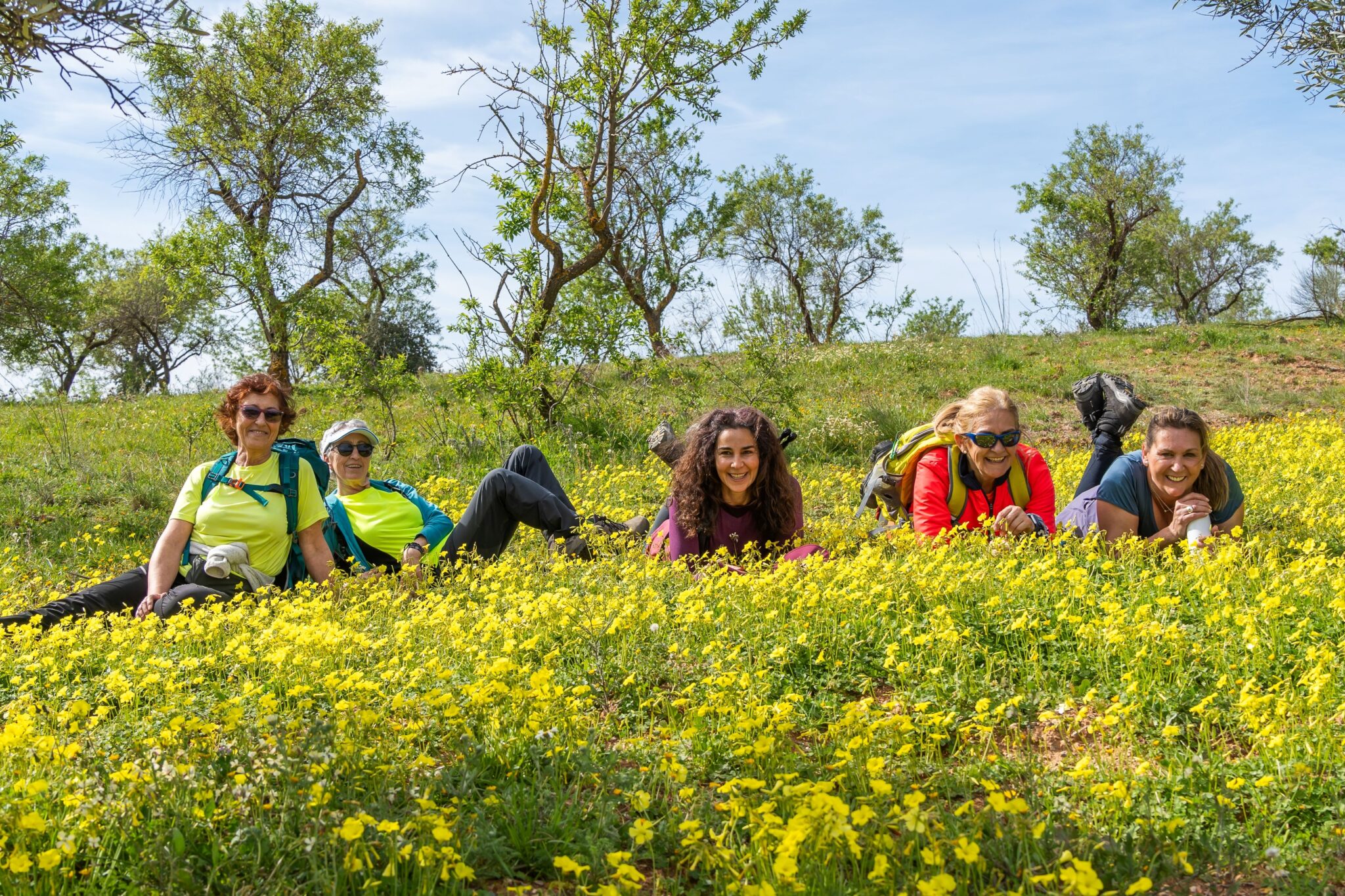 Fun Spring Activities Image