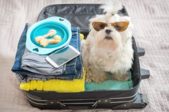 Holidaying with Your Pet Image